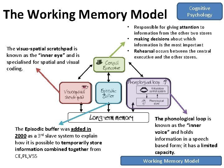 Un nouveau souffle pour le divertissement mobile en 2026
